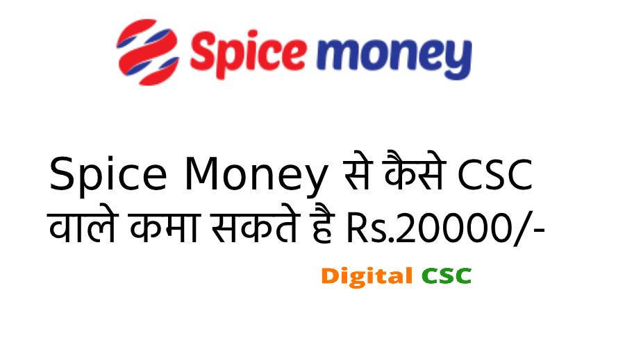 b2b spice money