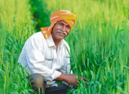 Hariyana kisan