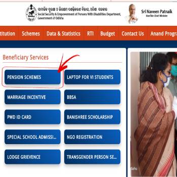 SSEPD Official Web Portal