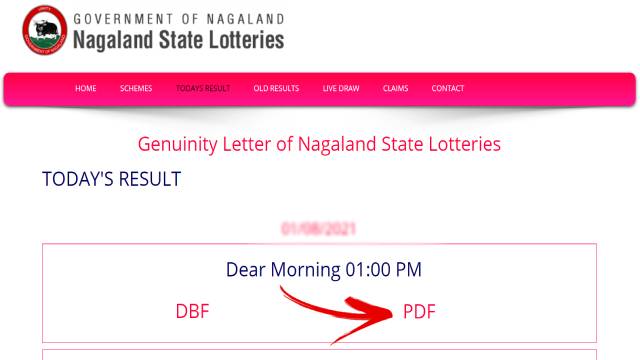 Nagaland State Lottery Sambad