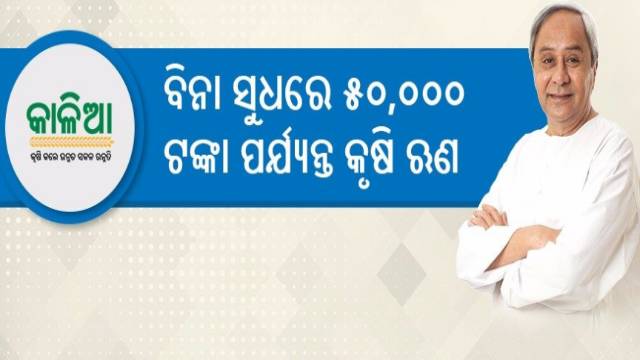 Benefits of Kalia Yojana